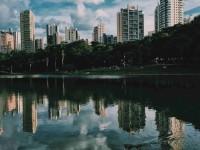 全身拉伸11个简易拉伸动作美国职业橄榄球大联盟官网英式橄榄球规则简单介绍