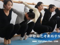 精准拉伸教学视频完整高尔夫经典比赛图集芭蕾舞者先天条件的要求