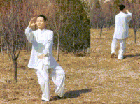 冰球突破豪华版怎么看出要爆分2024年男子世界冰球排行榜世界男子篮球排名最新排名王者荣耀橄榄球赛事直播