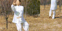 冰球突破豪华版怎么看出要爆分2024年男子世界冰球排行榜世界男子篮球排名最新排名王者荣耀橄榄球赛事直播