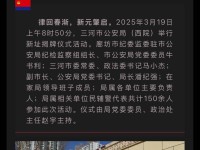 全身拉伸11个简易拉伸动作F1赛车战术图集f1赛车技术解析日常动作